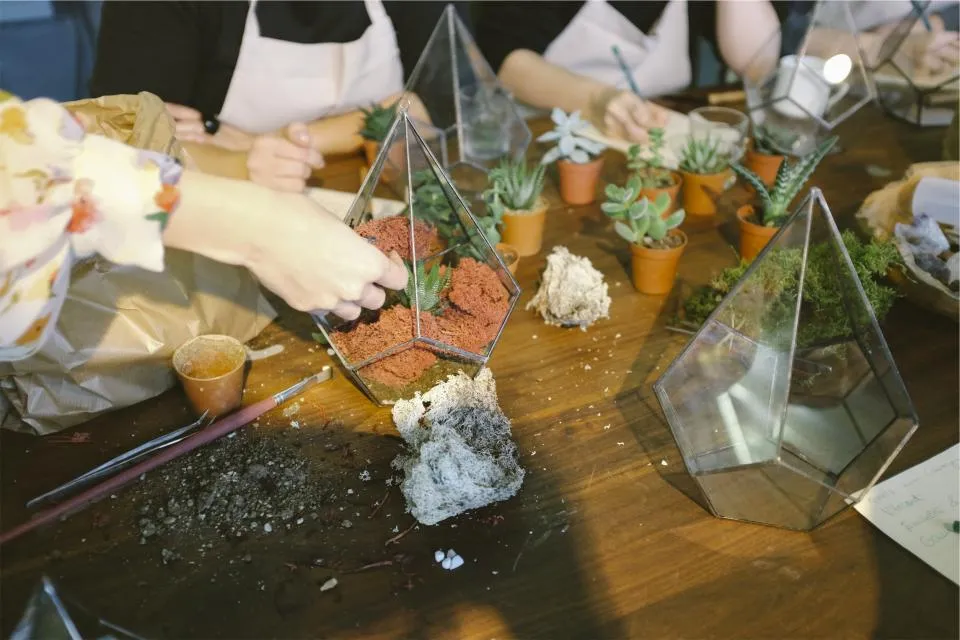 The Problem With Standard Commercial Potting Mixes (Image Credits: Stocksnap)