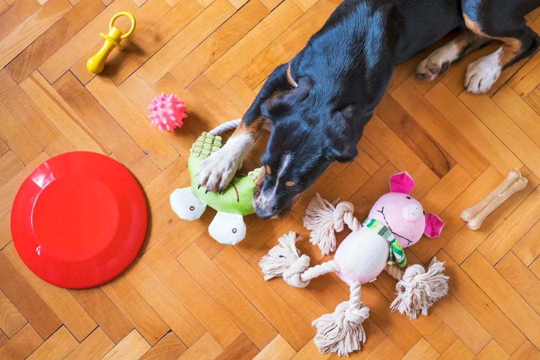 What Toy Rotation Actually Means (Image Credits: Unsplash)