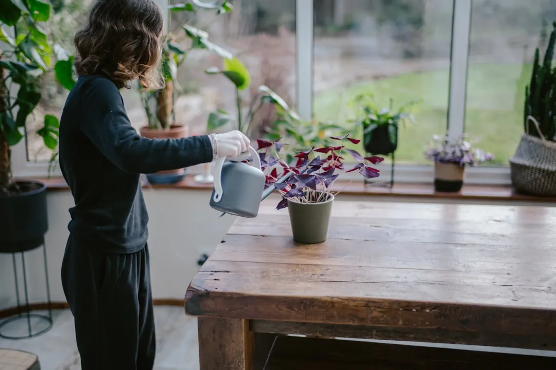 Understanding the Difference Between Cleaning, Sanitizing, and Disinfecting (Image Credits: Unsplash)
