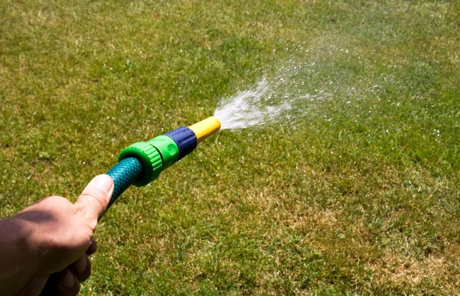 What Happens to the Soil When Jet Is Used for Watering (Image Credits: Pexels)