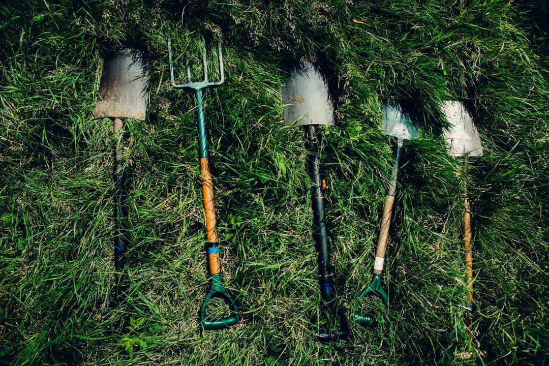 2. Invest in Ergonomic, Lightweight Tools (Image Credits: Unsplash)