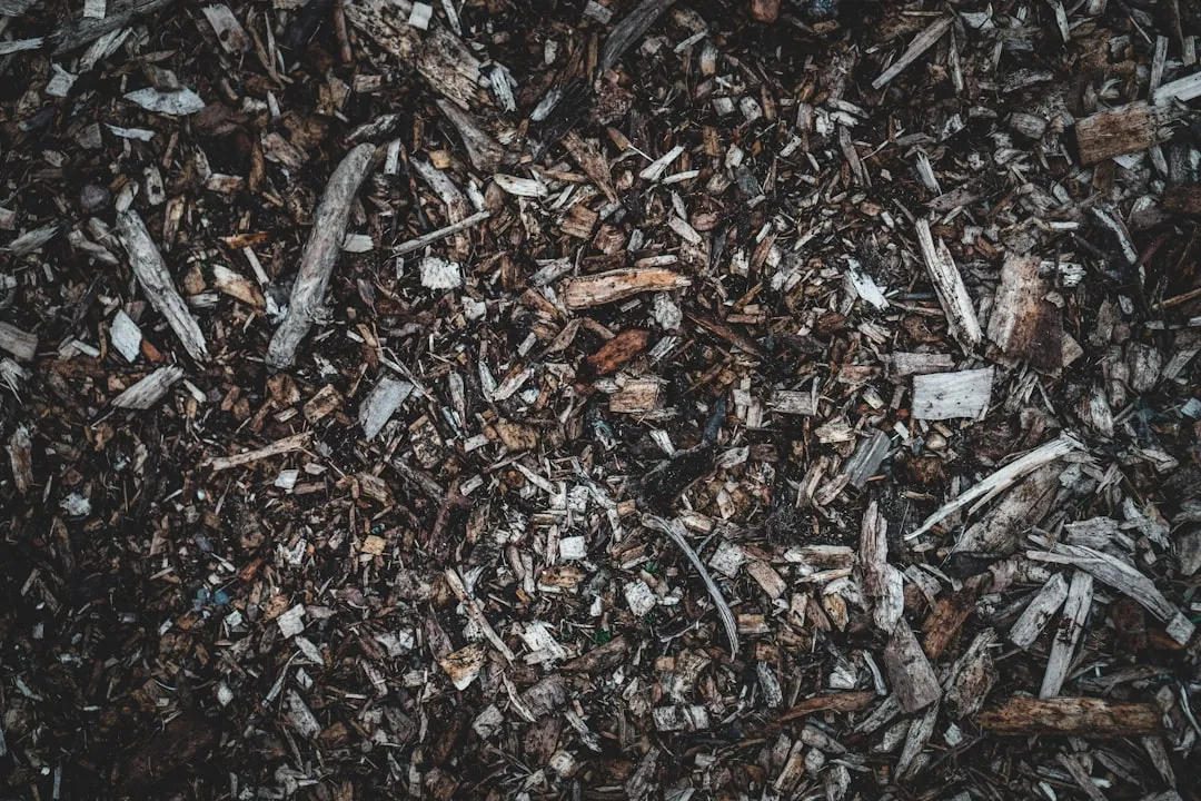 What the Research Says About Meta-Level Mulch Benefits (Image Credits: Unsplash)