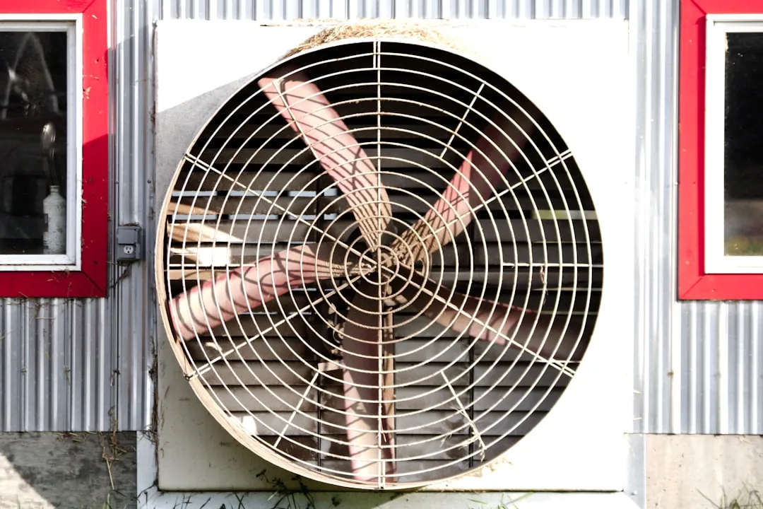 The Danger of Poorly Ventilated Storage Spaces (Image Credits: Unsplash)