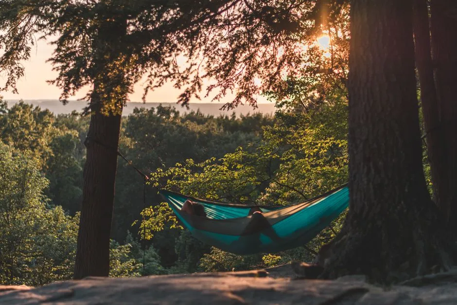 When a Hammock Can Make Pain Worse (Image Credits: Pexels)