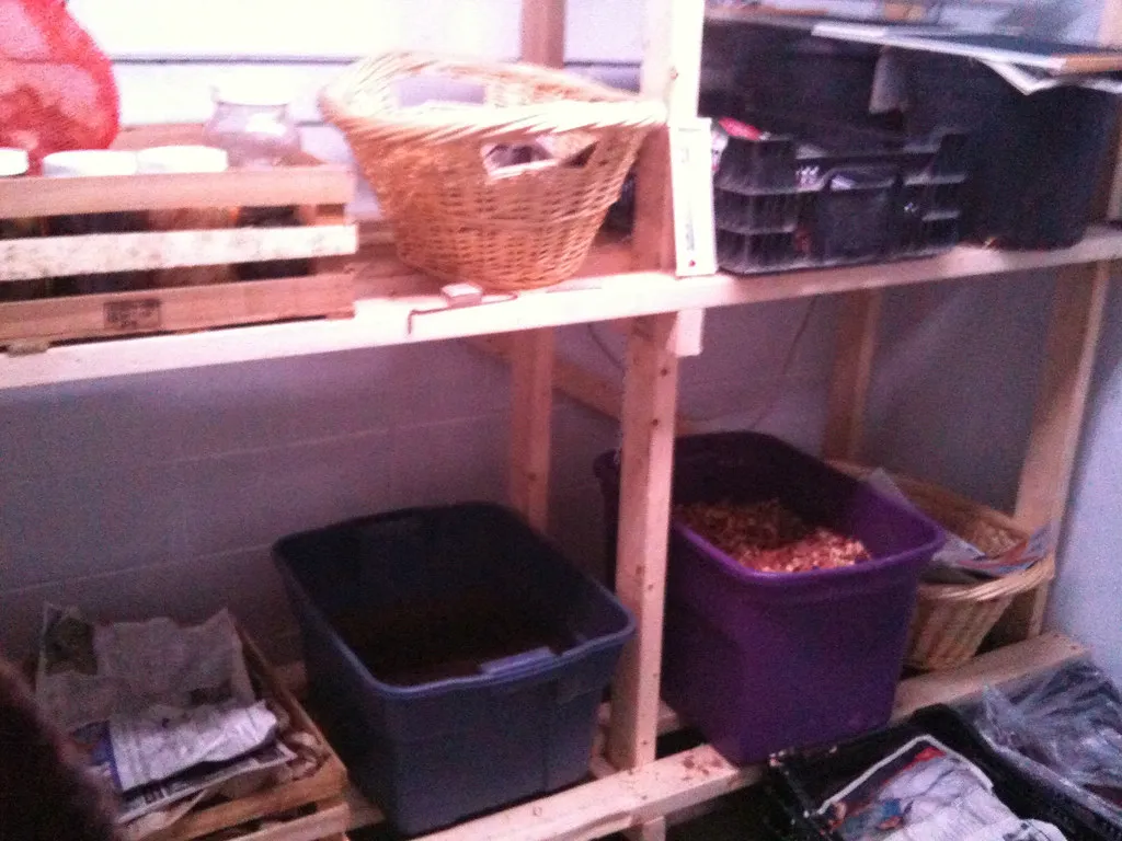 Modern Adaptations for People Without a Basement (espring4224, Flickr, CC BY 2.0)