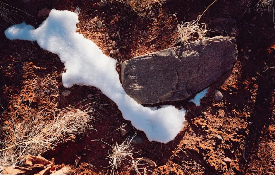 How Snow Keeps Soil Temperatures Stable (Image Credits: Pexels)