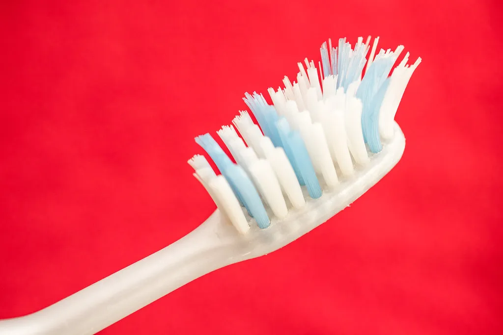7. The Toothbrush (Ivan Radic, Flickr, CC BY 2.0)