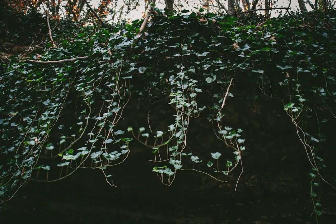 A Slow Emergency Worth Acting On Now (Image Credits: Unsplash)