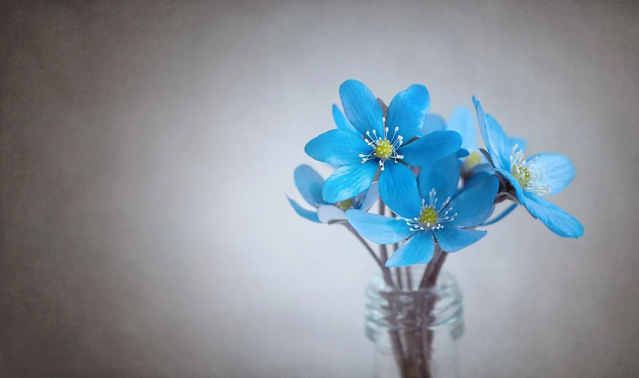 7. Flowers Engage Multiple Senses at Once (Image Credits: Pixabay)