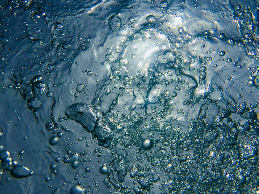 Why Microwaves Create This Problem in the First Place (Image Credits: Unsplash)