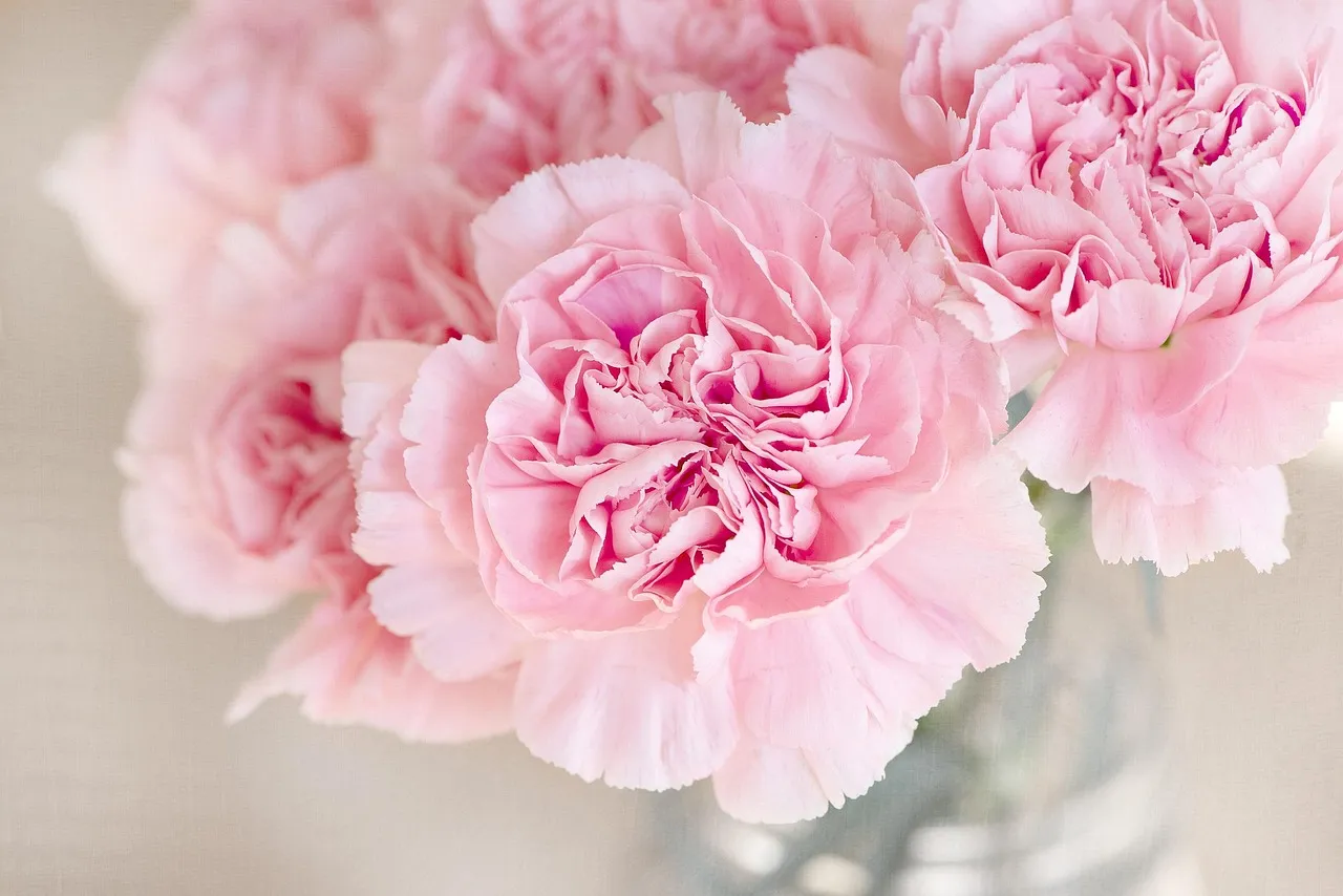 Not All Flowers Are Equally Vulnerable (Image Credits: Pixabay)