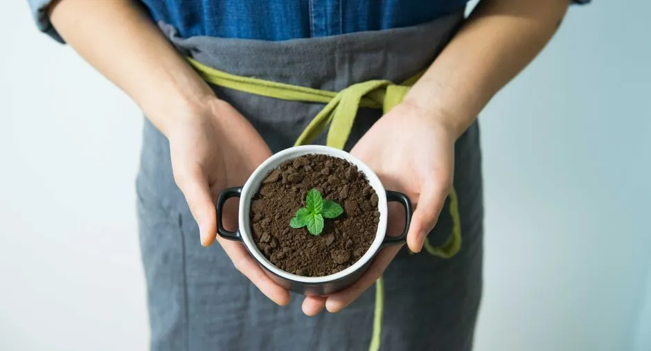 The Compaction and Water Problem (Image Credits: Pexels)