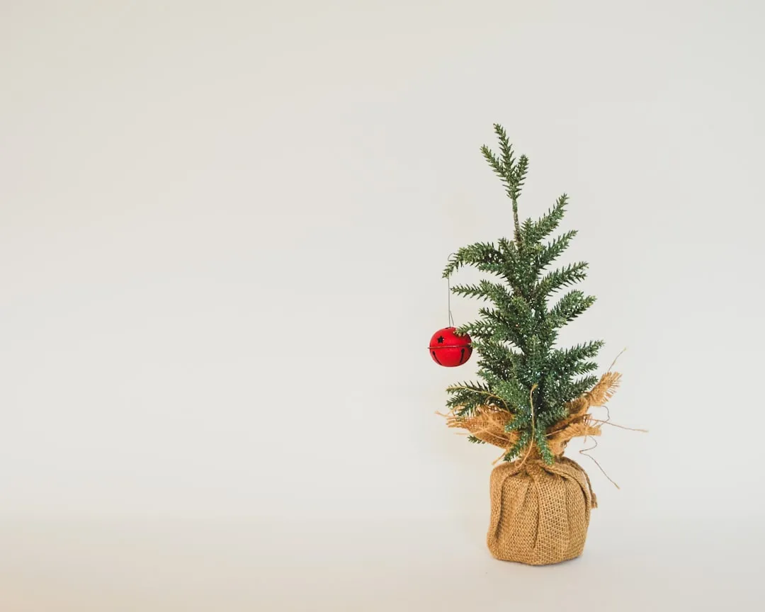 How to Recover If Your Tree Has Already Stopped Drinking (Image Credits: Unsplash)
