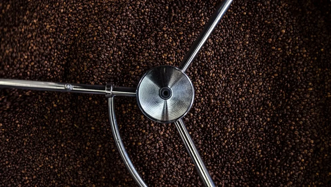 Myth 3: Coffee Grounds Acidify Your Soil (Image Credits: Unsplash)