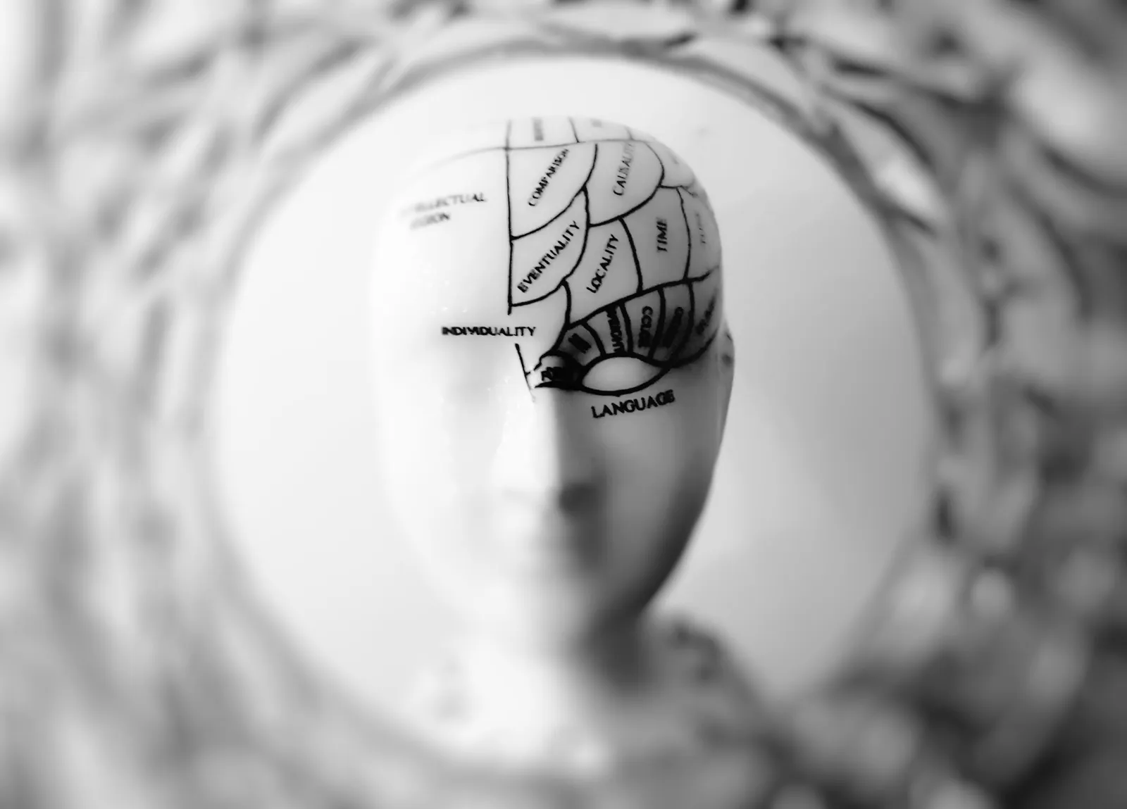 The Role of the Hippocampus and Temporal Lobe (Image Credits: Pexels)