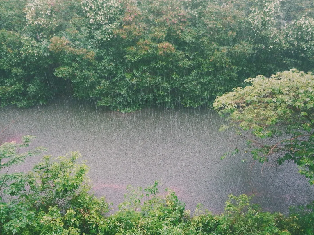 A Year of Unprecedented Rainfall Sets the Stage (Image Credits: Unsplash)