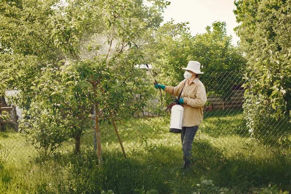 Neonicotinoids: The Pesticide Family That Gets Everywhere (Image Credits: Pexels)