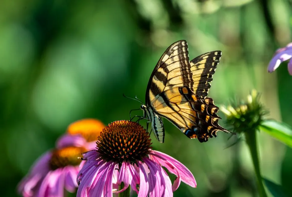 The Shift in Gardening Culture Is Already Underway (Image Credits: Pexels)