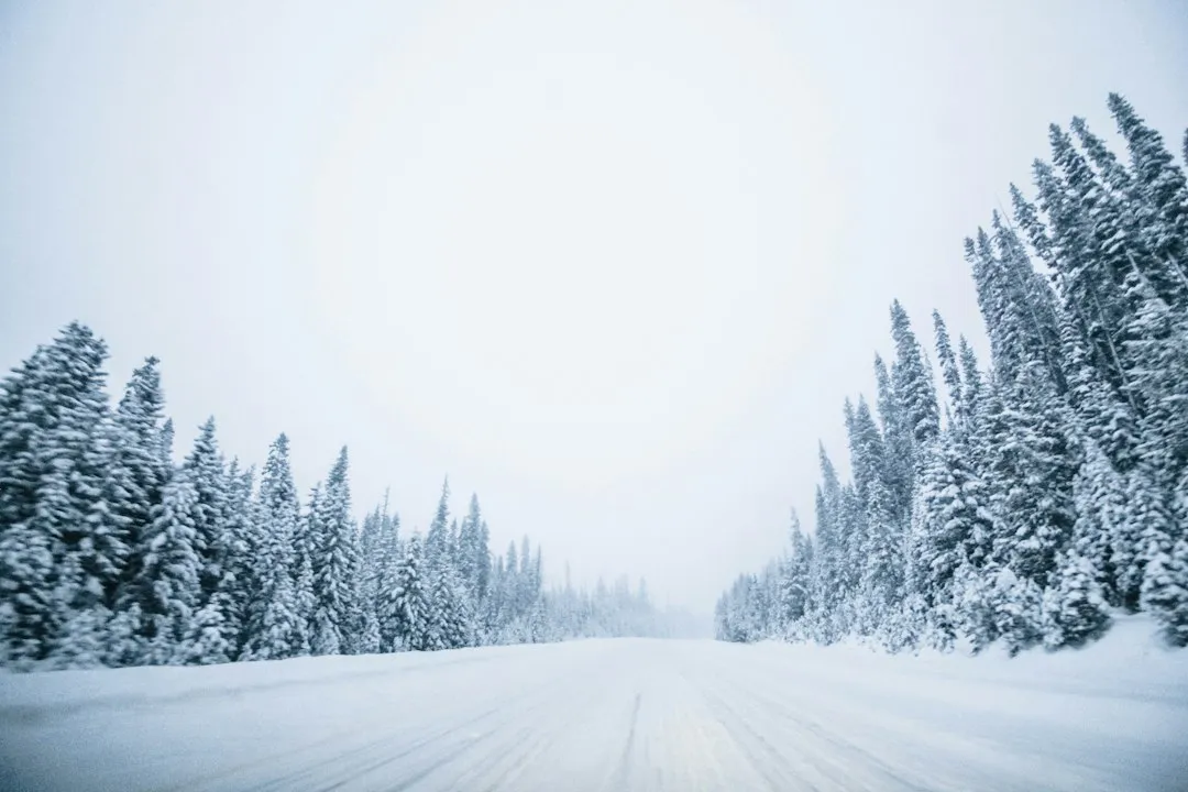 Road Salt: A Sneaky Culprit (Image Credits: Unsplash)