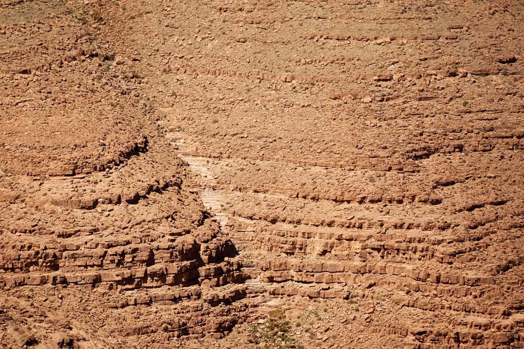 The Soil Coverage and Erosion Angle (Image Credits: Unsplash)
