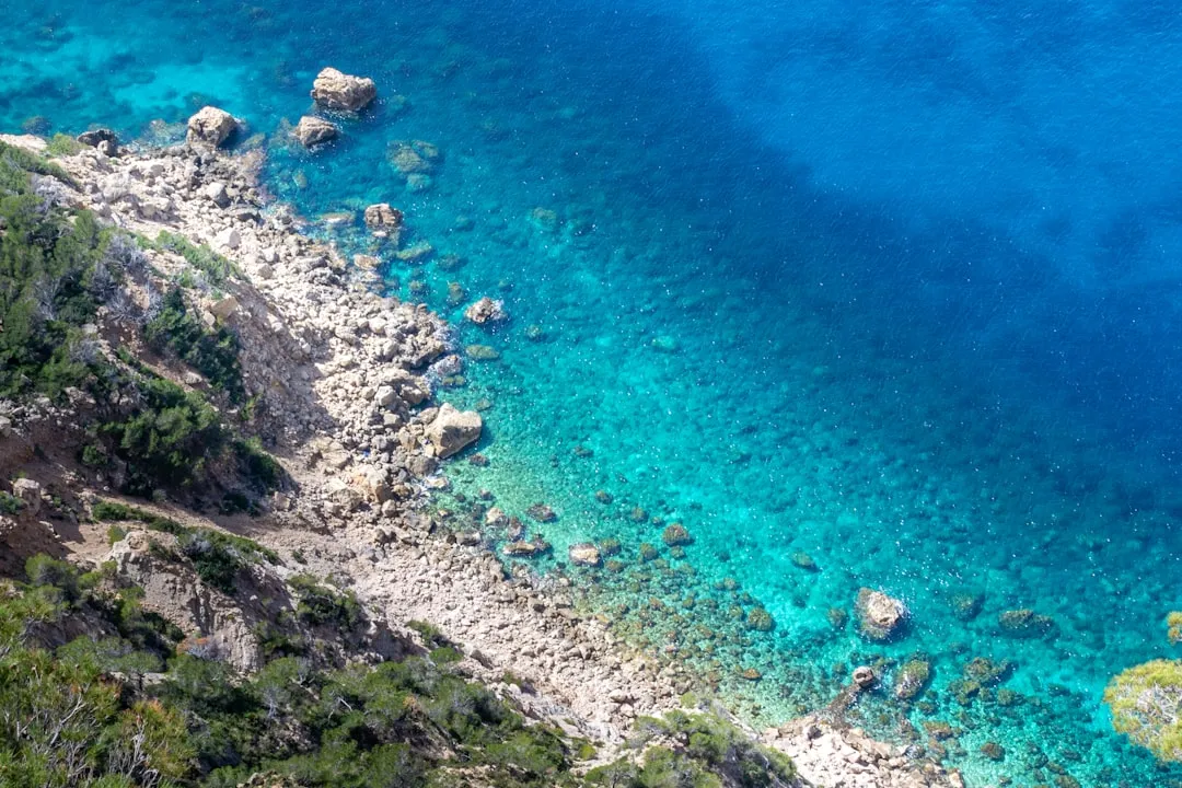 Napa's Mediterranean Climate Sets The Rules (Image Credits: Unsplash)