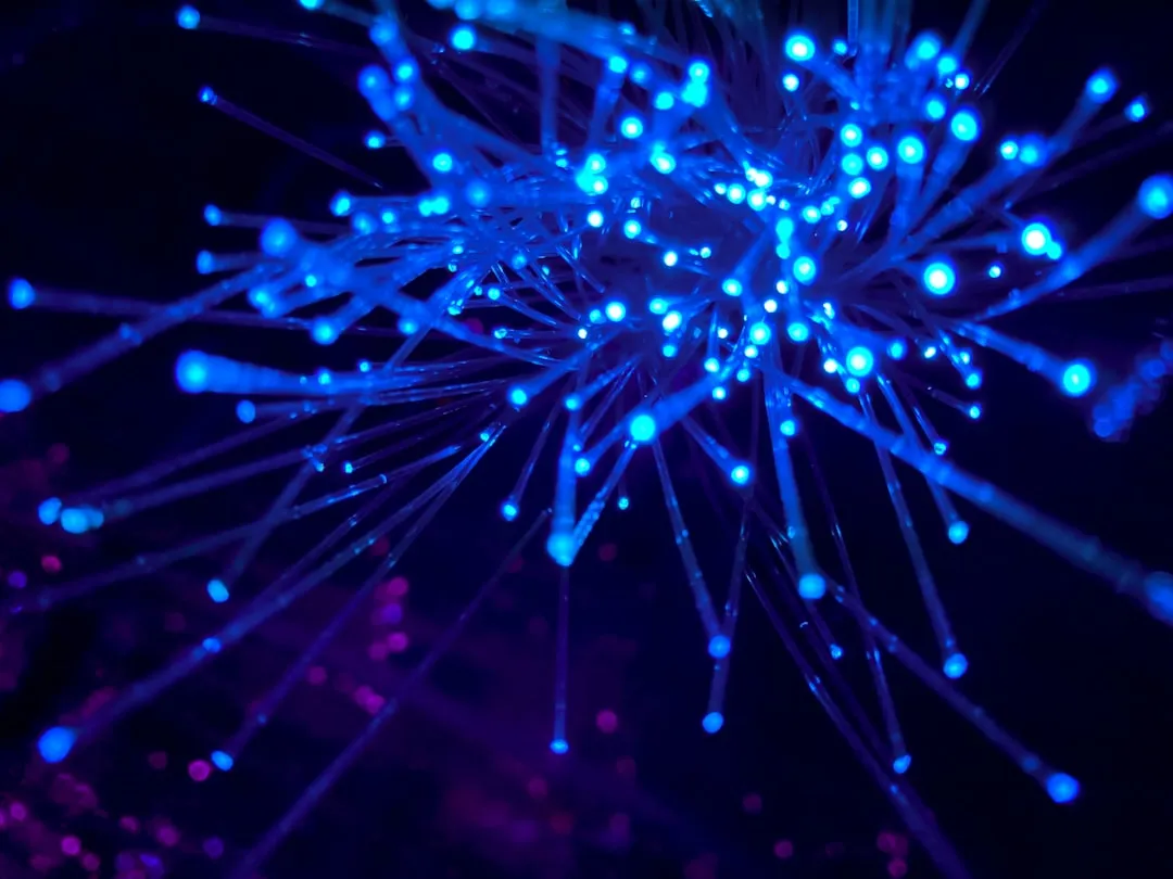 The Circadian Complication of Cool Colors at Night (Image Credits: Unsplash)
