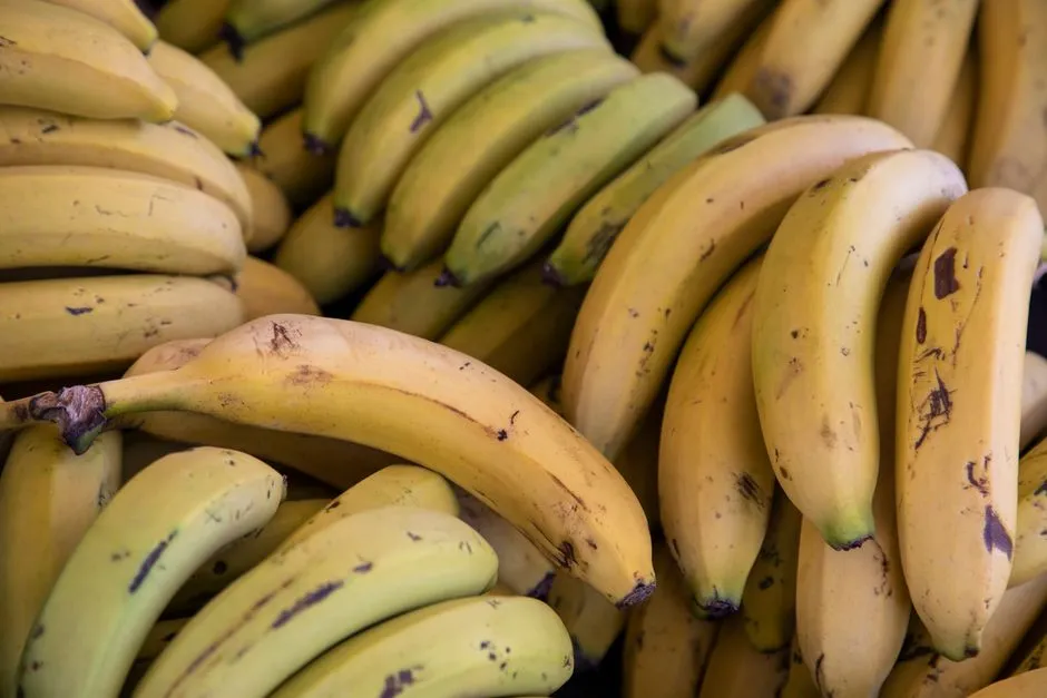Slowing Things Down: When You Want Fruit to Last (Image Credits: Pexels)