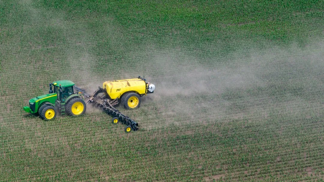 Fungicide Options and Their Limits (Image Credits: Unsplash)