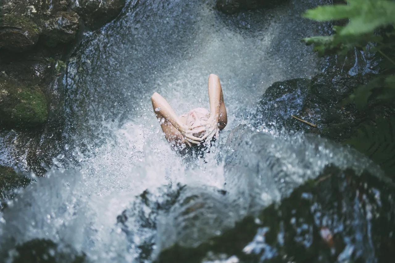 How the Forest Strengthens Your Immune System (Image Credits: Pixabay)