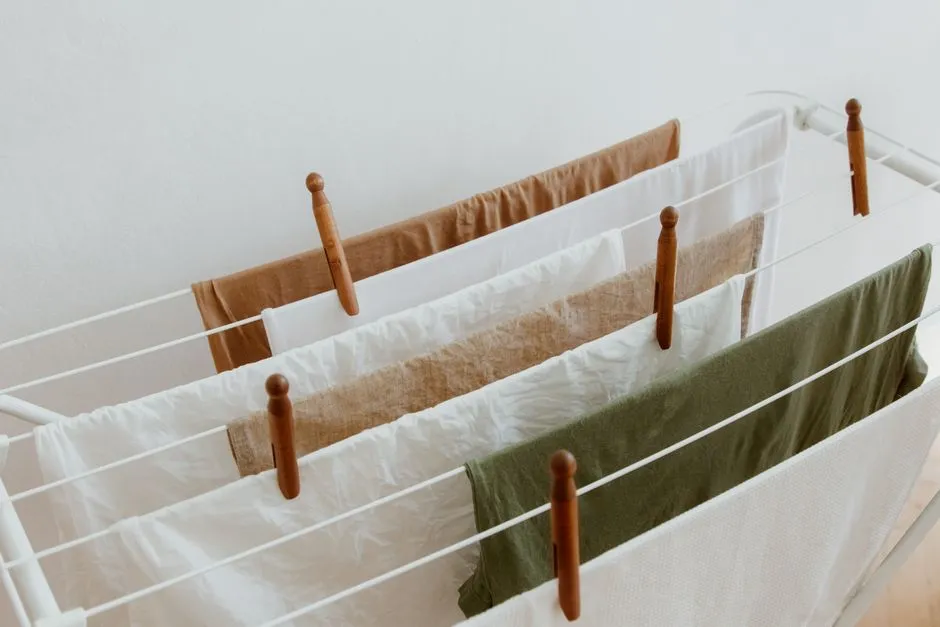 Dryer Ownership vs. Dryer Necessity (Image Credits: Pexels)