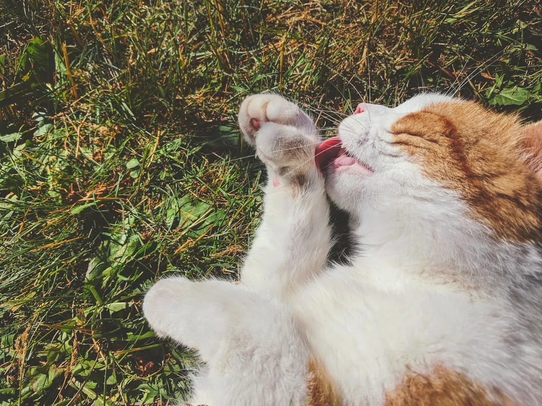 Kneading as a Signal of Trust and Safety (Image Credits: Unsplash)