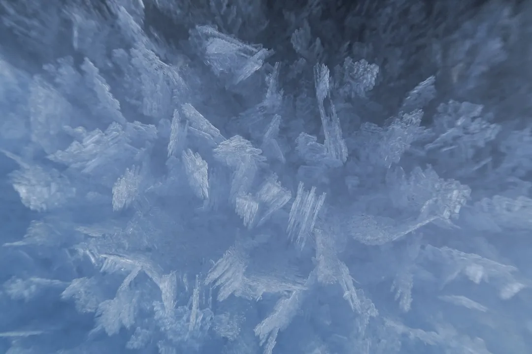 Understanding Frost Pockets: The Danger Zones of Your Yard (Image Credits: Unsplash)