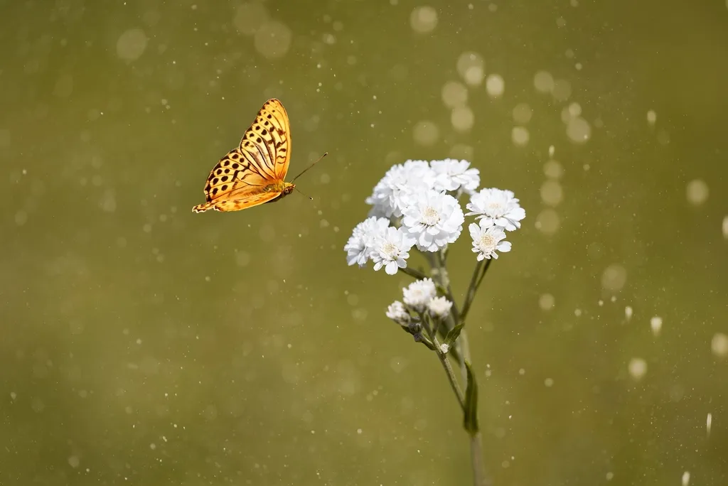Patience, Signage, and the Three-Year Payoff (Image Credits: Rawpixel)