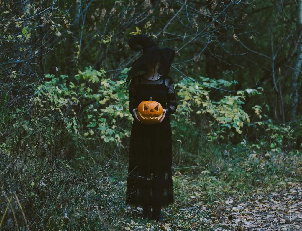 1. The Classic Witch: Black Clothes and a Pointed Hat (Image Credits: Flickr)