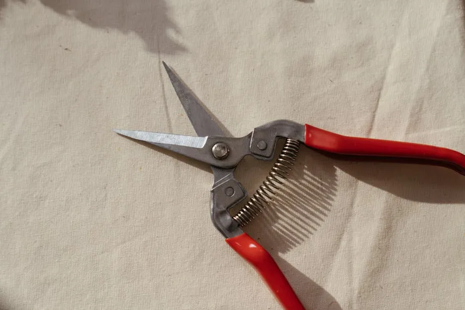 Keeping the Habit: Making Sharpening Part of Your Routine (Image Credits: Pexels)