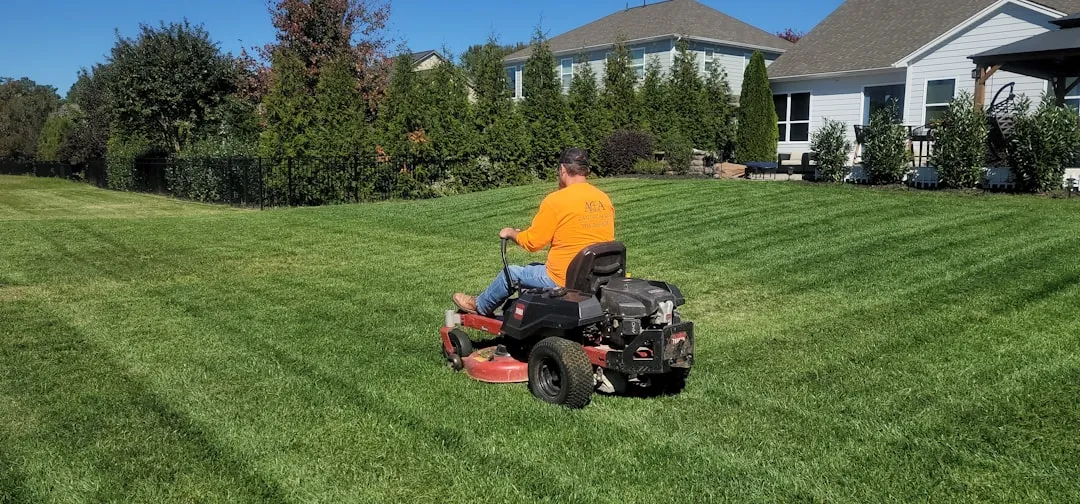 5. Aerate and Overseed Your Lawn (Image Credits: Unsplash)
