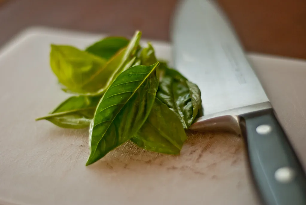 Basil and Fresh Herbs - Stem Cuttings That Root Quickly (Mark Bonica, Flickr, CC BY 2.0)