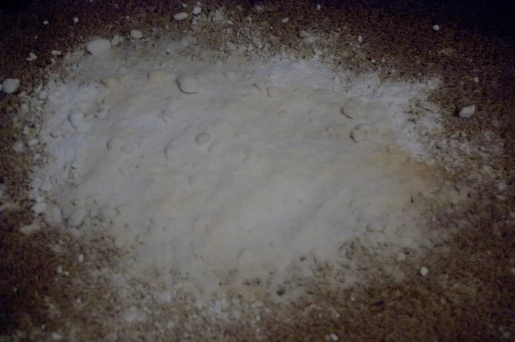 How Often to Use It for Best Long-Term Results (Teresa Trimm, Flickr, CC BY-SA 2.0)