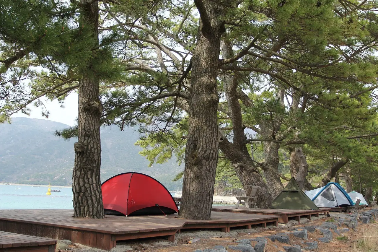 Where to Set Up Camp: From BLM Land to State Parks (Image Credits: Pixabay)