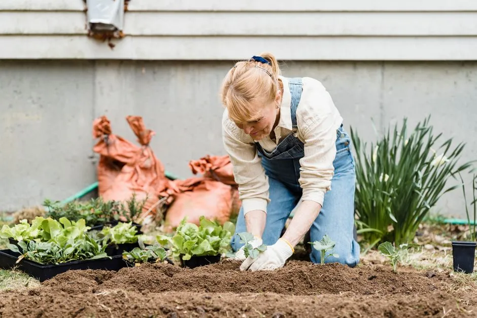Practical Methods for the Home Grower (Image Credits: Pexels)