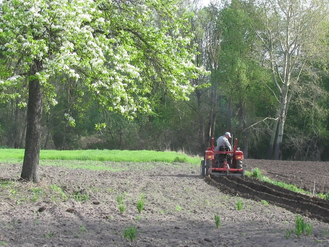 Rototilling Perennial Weeds with Rhizomes (Image Credits: Unsplash)