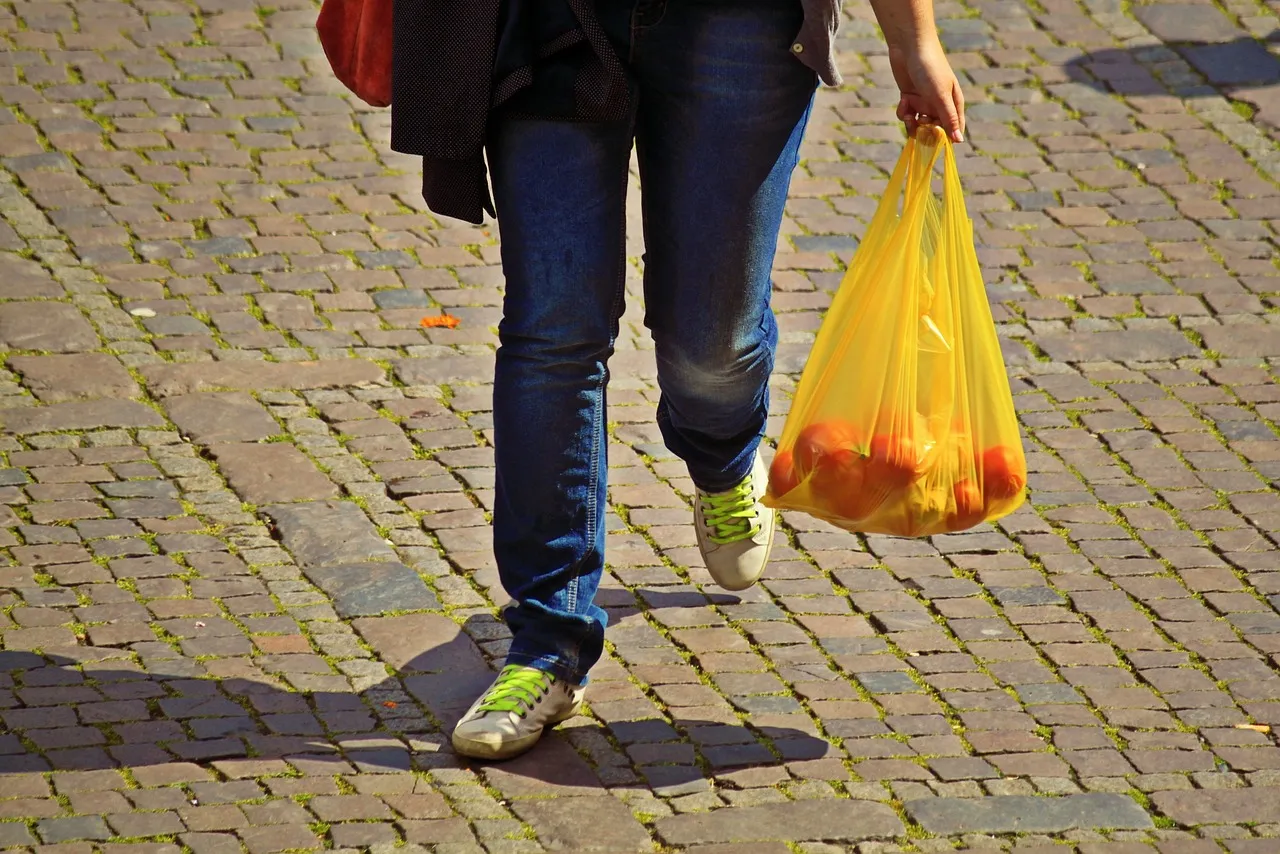 1. California Closes the Plastic Bag Loophole for Good (Image Credits: Pixabay)