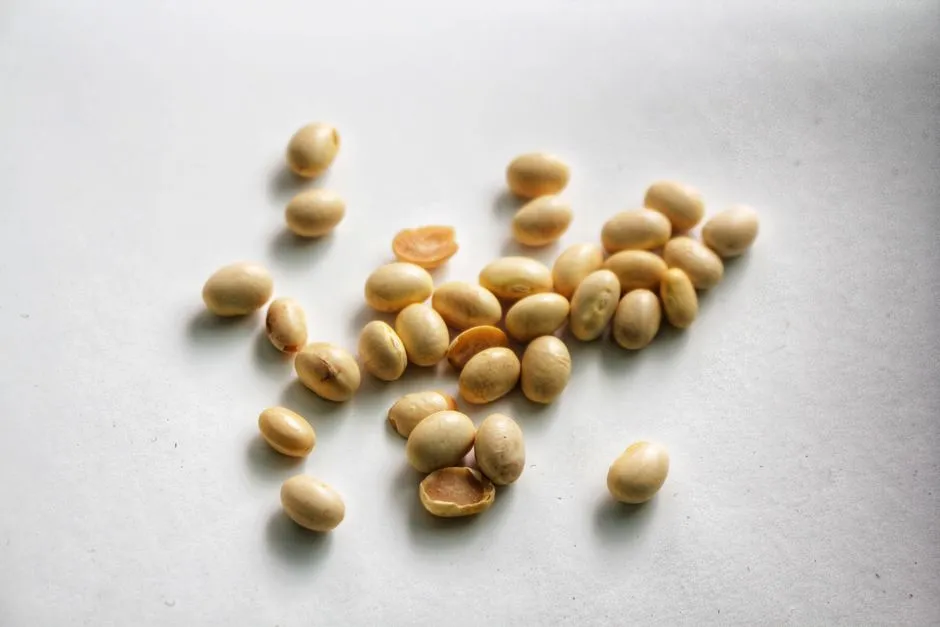2. Soy Foods: A Well-Studied Phytoestrogen Source (Image Credits: Pexels)