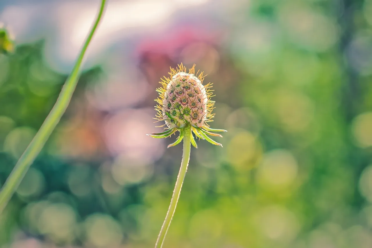 The General Rule and Where It Applies (Image Credits: Pixabay)