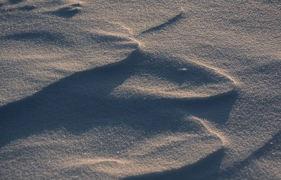 The Summer and Winter Shadow Problem (Image Credits: Pexels)