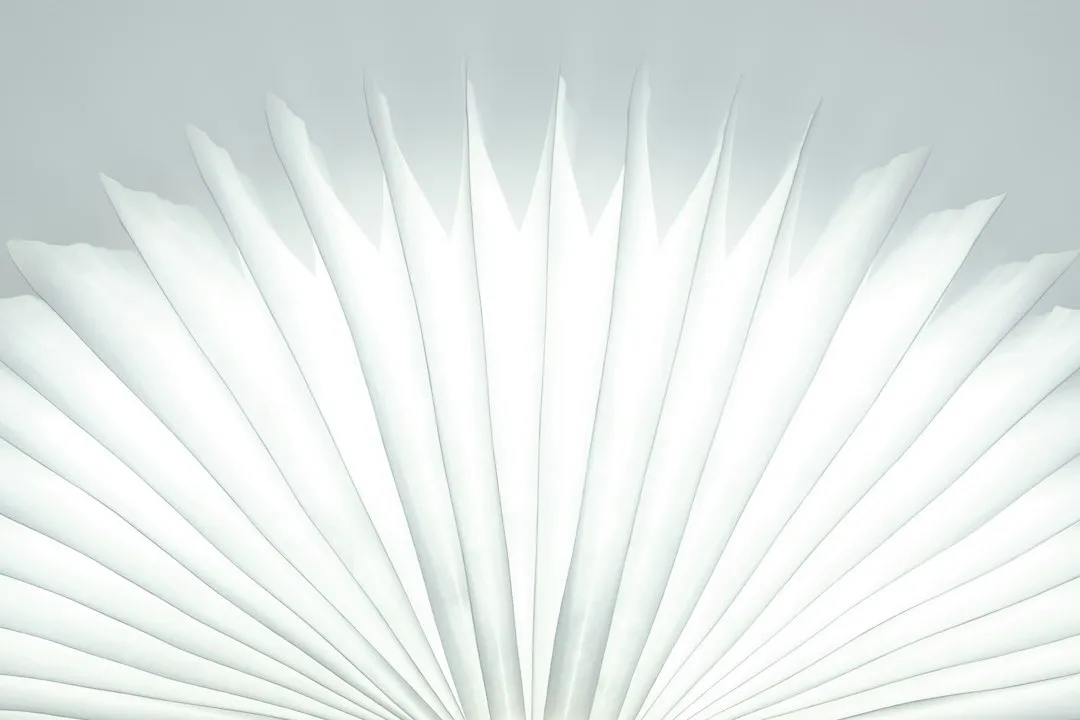 Ordinary Room Light Is the Real Culprit (Image Credits: Unsplash)