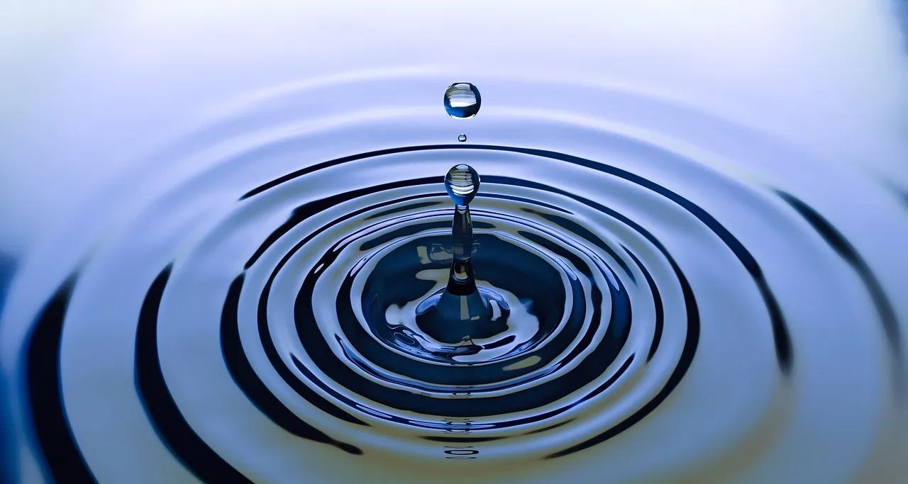 Gravity Timing: Letting the System Run at the Right Hour (Image Credits: Pixabay)
