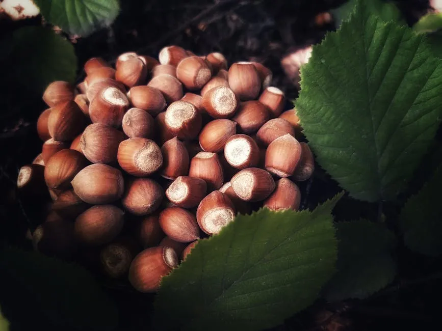 American Hazelnut: Nuts, Privacy, and Wildlife Habitat All in One (Image Credits: Pexels)