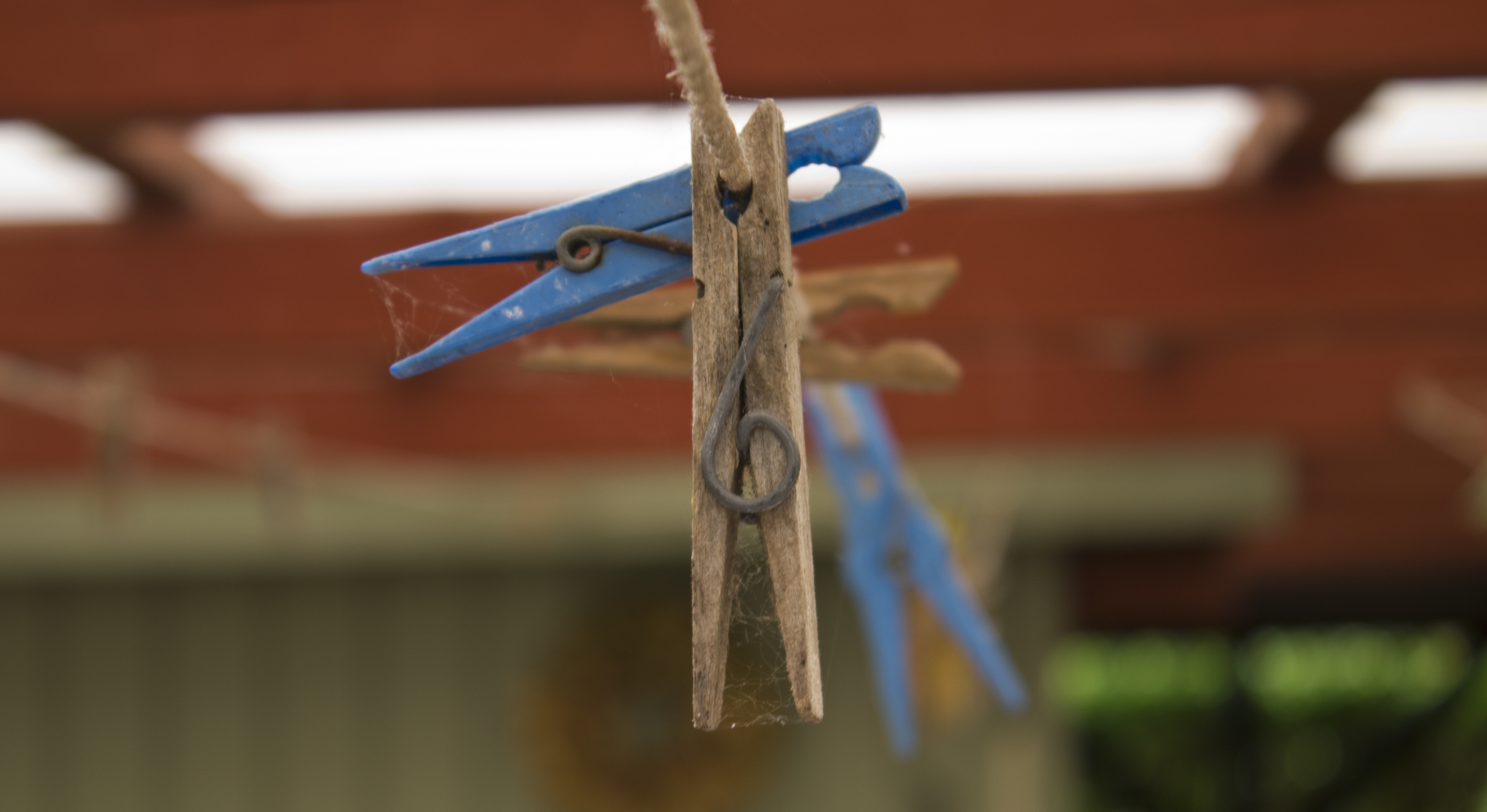 Bring Back the Clothesline: A Simple Swap for a Greener Yard