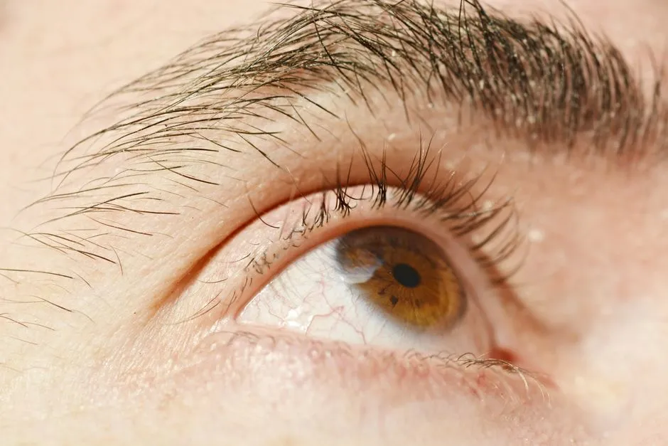 Practical Ways to Eat for Your Eyes (Image Credits: Pexels)